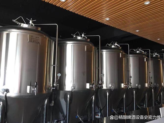 射阳开精酿吧原浆自酿啤酒设备多少钱一套?家用商用怎么选不踩坑